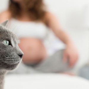 Toxoplasmose en zwangerschap: wat je moet weten