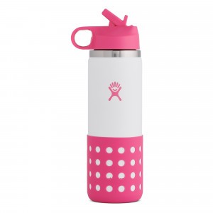Hydro Flask Insulated Drinkfles Kids Wide Mouth (591 ml) Punch