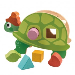 Tender Leaf Toys Vormendoos Schildpad