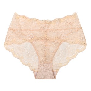 The Miracle Makers Mid-rise Lace Slip Nude