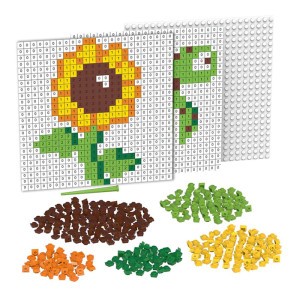 Biobuddi Pixel & Create 'Sunflower or Turtle' 